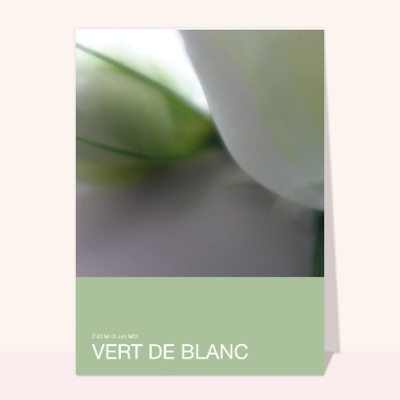 Féerie de verts pour un doux bonjour