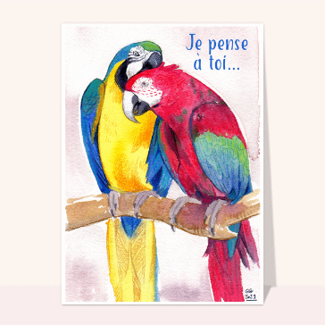 Perroquets colorés pour un chaleureux bonjour