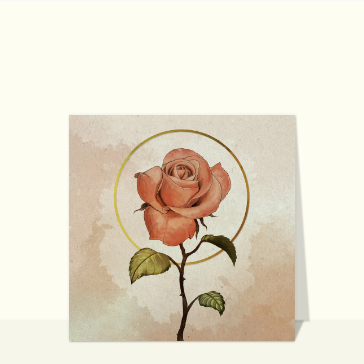 Rose douce et élégante sur fond texturé
