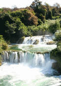 Chutes d'eau et verdure luxuriante