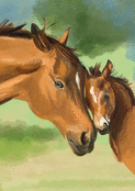 Cheval tendre et son poulain complice