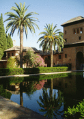 Reflets de palmiers dans les jardins andalous