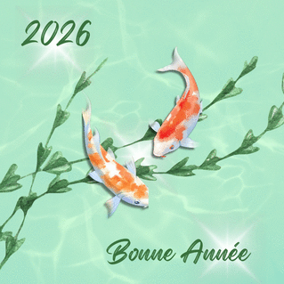 carte Koi en harmonie pour une ann&eacute;e 2026 paisible 