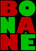 bonne ann&eacute;e 2026 pleine de couleurs !
