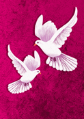 Oiseaux blancs en plein vol sur fond rose