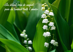 carte Brin de muguet pour une ann&eacute;e radieuse 