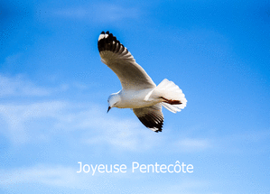 carte P&aacute;ral&egrave;les d'oiseaux pour une Pentec&ocirc;te joyeuse 