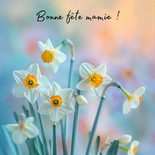 carte Fleurs printani&egrave;res pour c&eacute;l&eacute;brer Mamie 